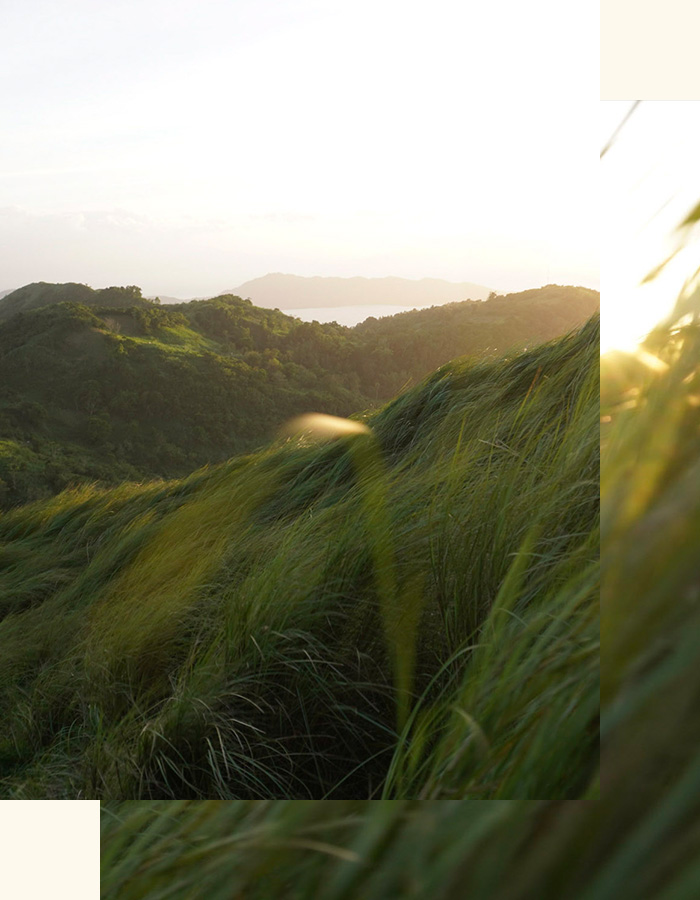 Landschaft als Symbol für Selbstreflexion und den Wunsch nach Klarheit im Leben